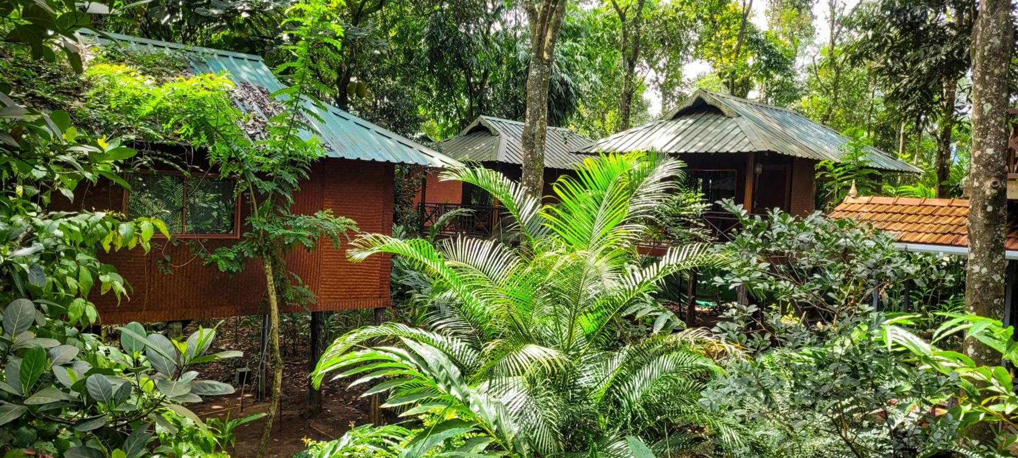 Monsoon Retreats Ecostay Thekkady Buitenkant foto