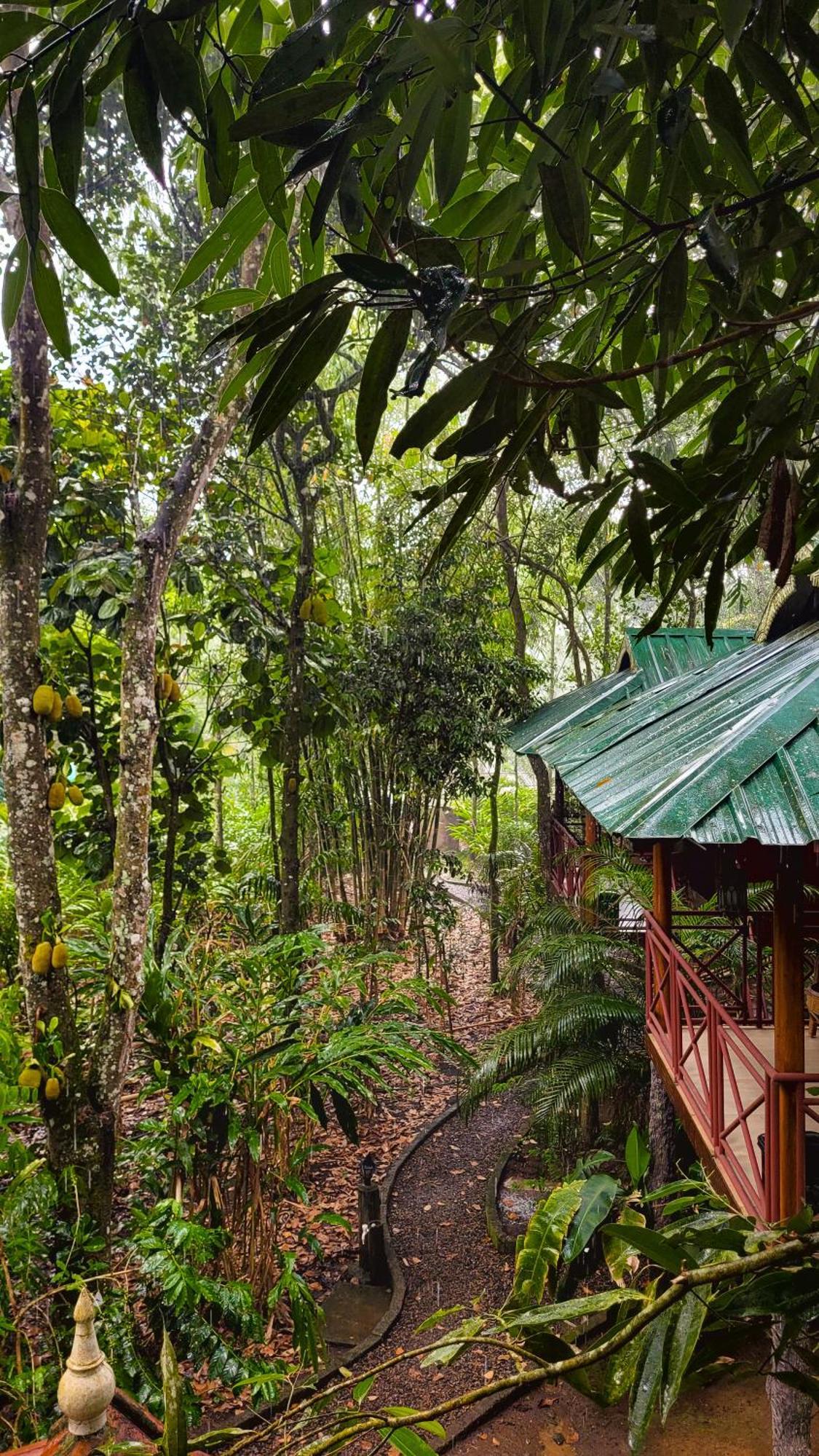Monsoon Retreats Ecostay Thekkady Buitenkant foto