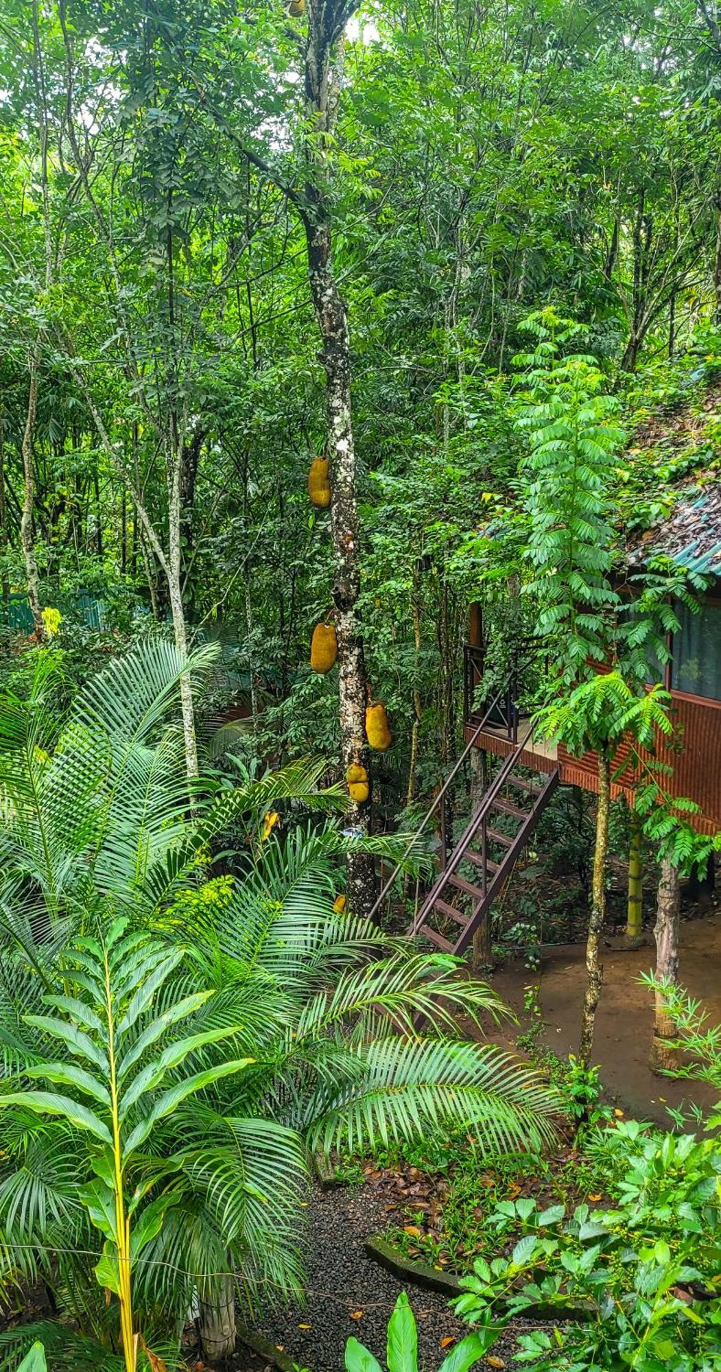 Monsoon Retreats Ecostay Thekkady Buitenkant foto