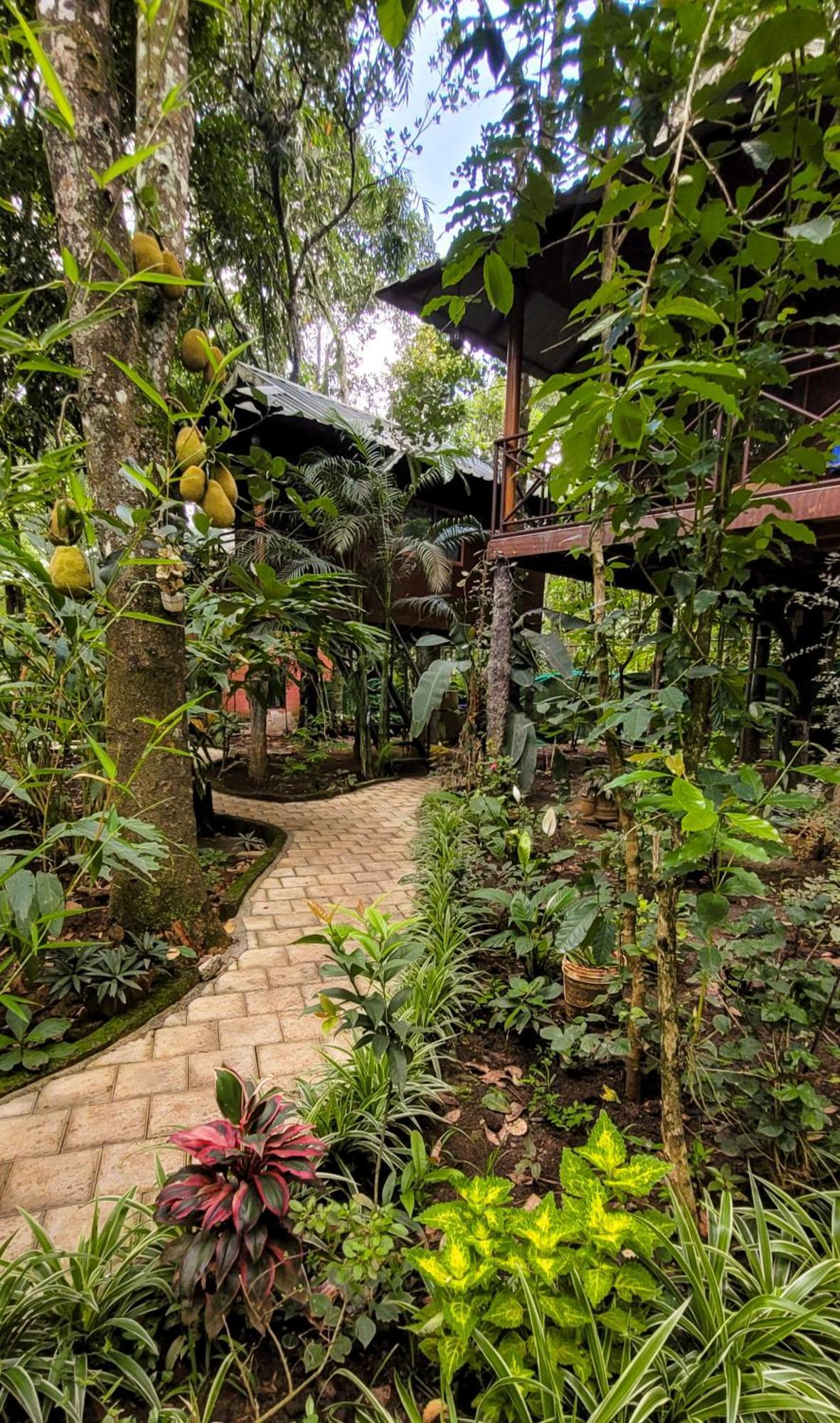 Monsoon Retreats Ecostay Thekkady Buitenkant foto