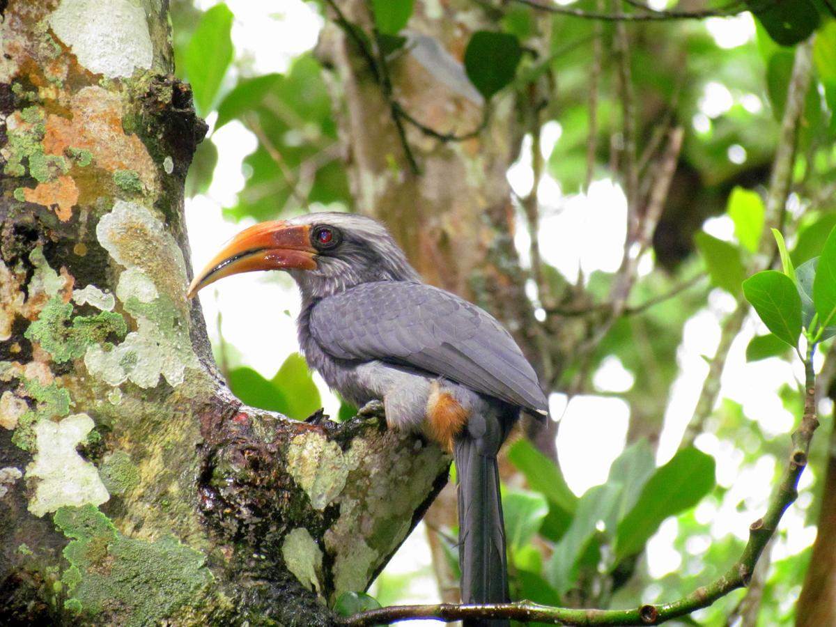 Monsoon Retreats Ecostay Thekkady Buitenkant foto