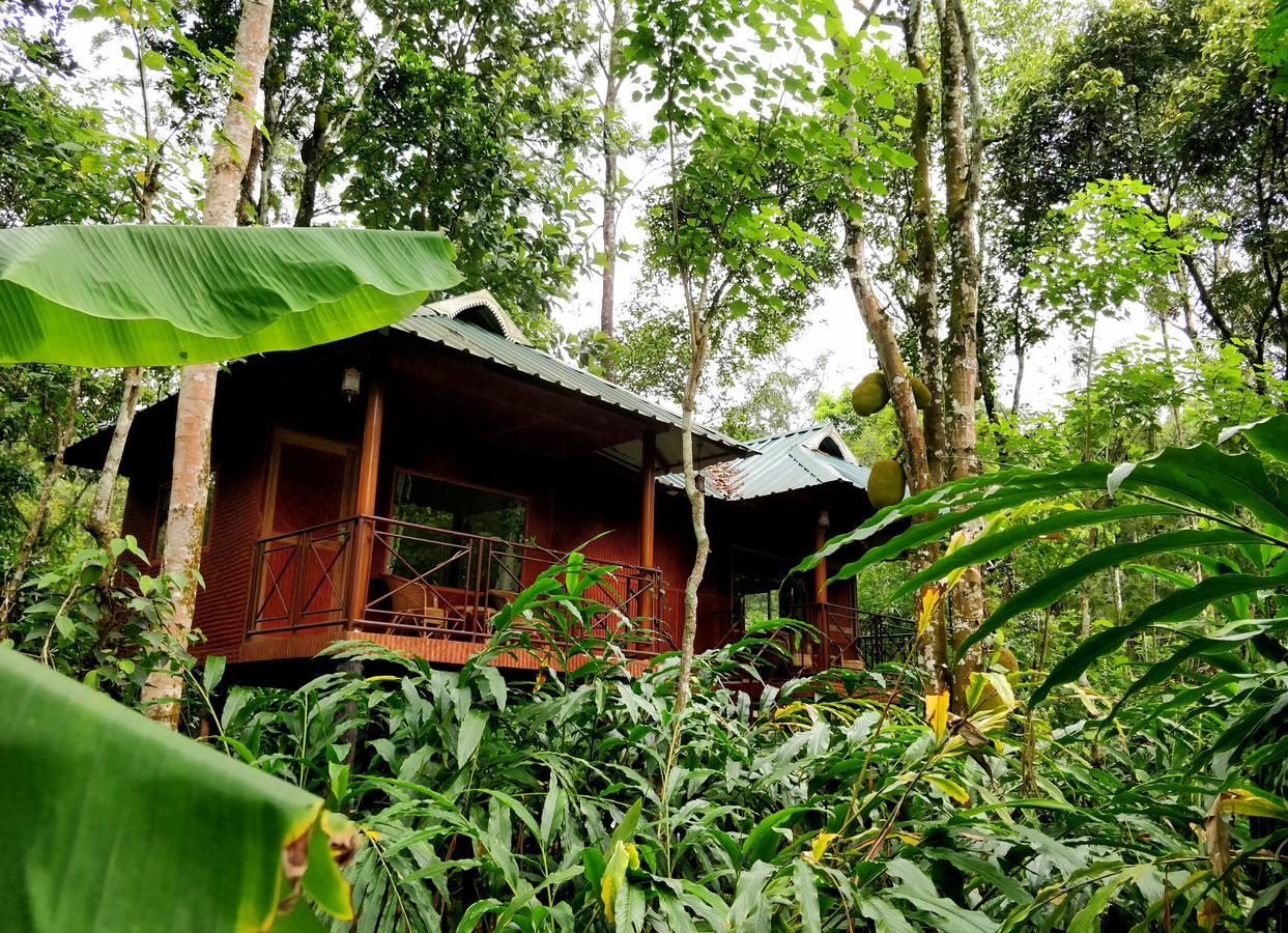 Monsoon Retreats Ecostay Thekkady Buitenkant foto