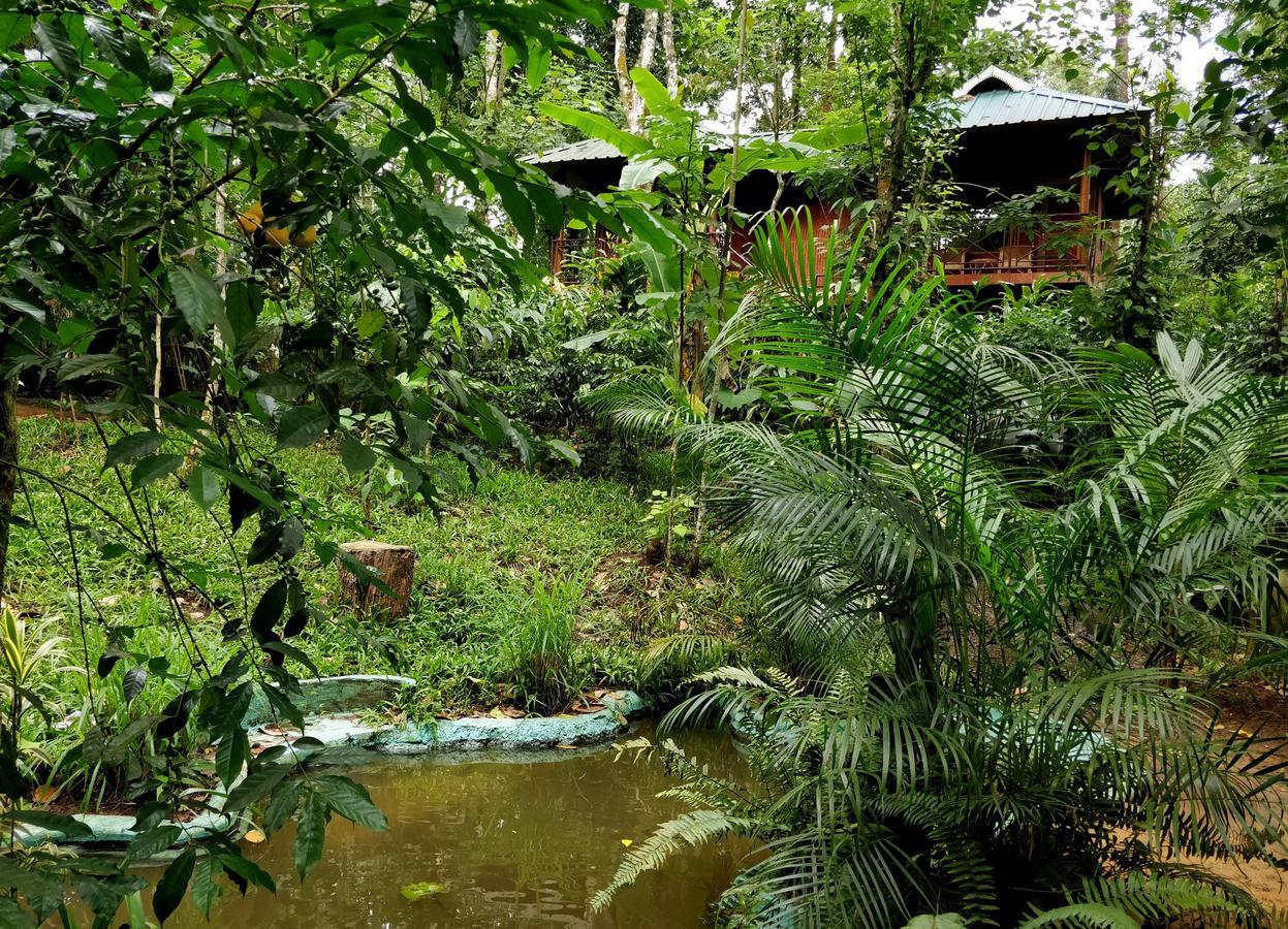 Monsoon Retreats Ecostay Thekkady Buitenkant foto
