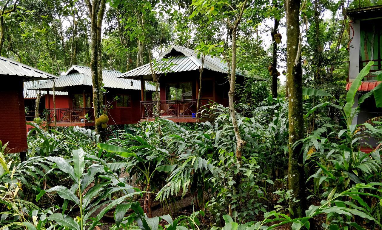 Monsoon Retreats Ecostay Thekkady Buitenkant foto