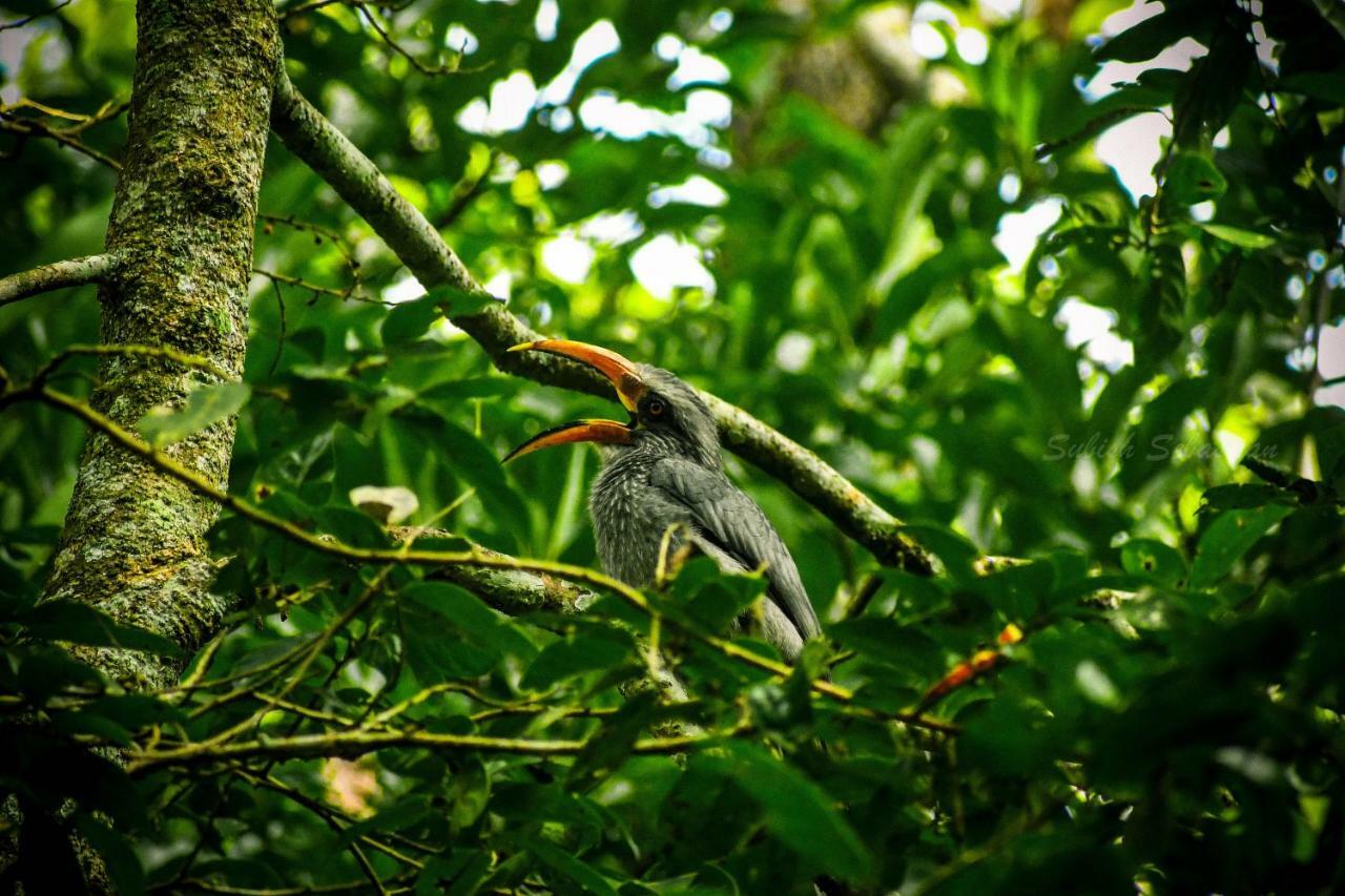Monsoon Retreats Ecostay Thekkady Buitenkant foto