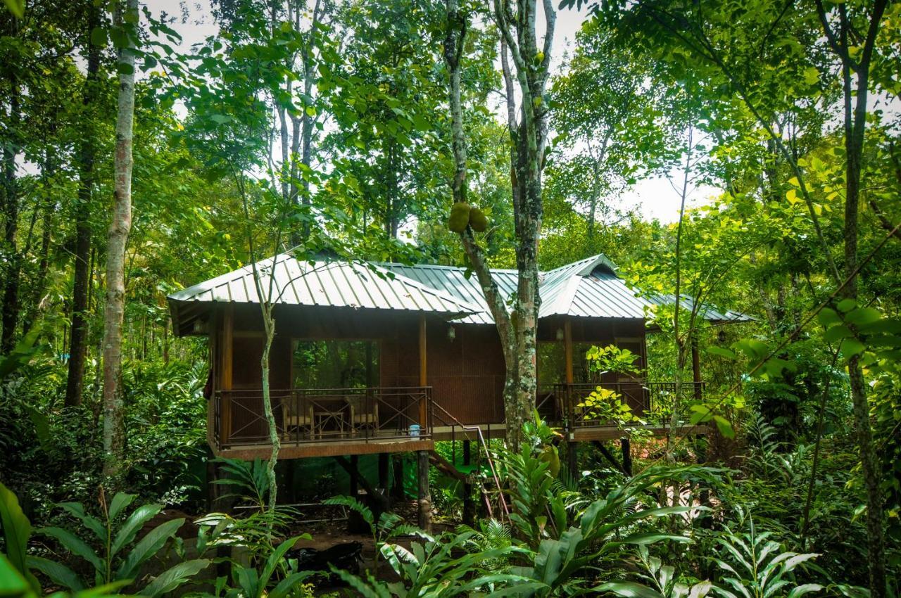 Monsoon Retreats Ecostay Thekkady Buitenkant foto