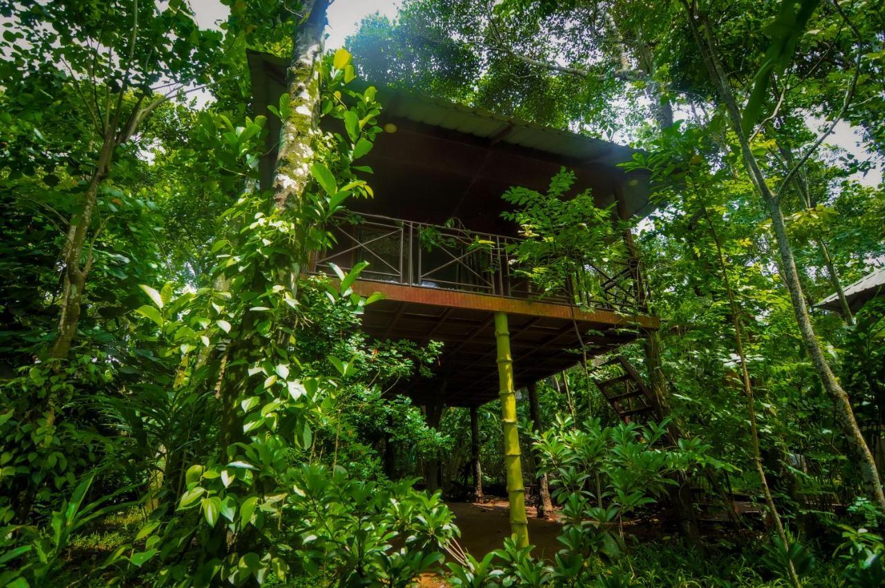 Monsoon Retreats Ecostay Thekkady Buitenkant foto
