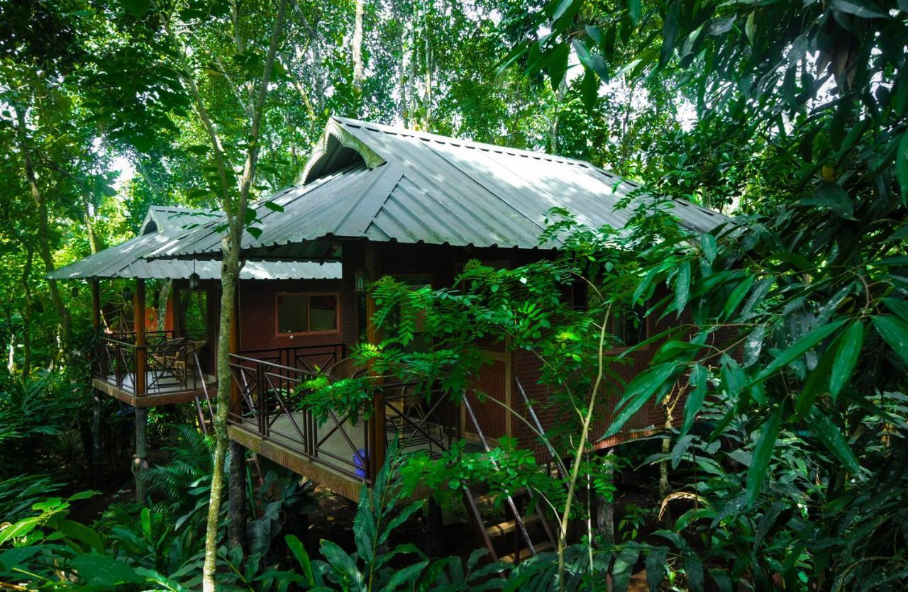 Monsoon Retreats Ecostay Thekkady Buitenkant foto