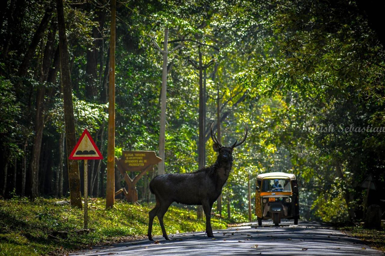 Monsoon Retreats Ecostay Thekkady Buitenkant foto